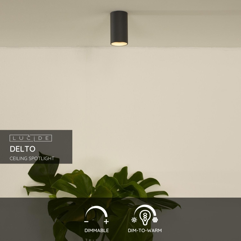 Lucide DELTO - Stropné bodové svietidlo - Ø 5,5 cm - LED Dim to warm - GU10 - 1x5W 2200K/3000K - Grey